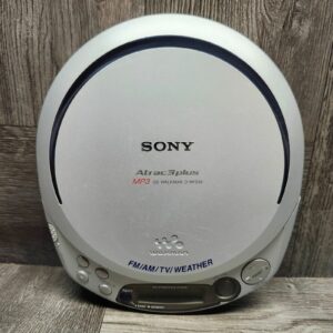 Portable Audio Players